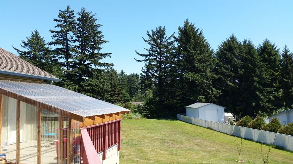Arky'S B&B Smith River ภายนอก รูปภาพ
